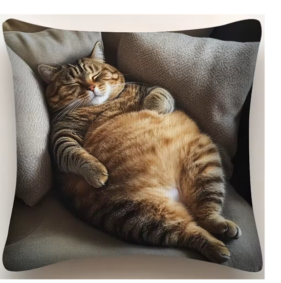 Cosy Cat Nap Cushion Cover